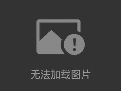 增強(qiáng)聚丙烯（RPP)海爾環(huán)